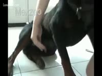 [ Zoo Sex ] Extreme brute sex with a cute dark brown legal age teenager
